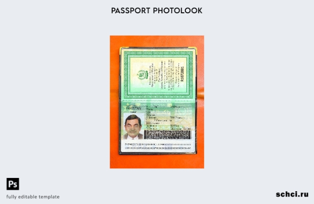 цифровая загрузка пакистанского паспорта, нынешняя версия, фотообраз шаблона